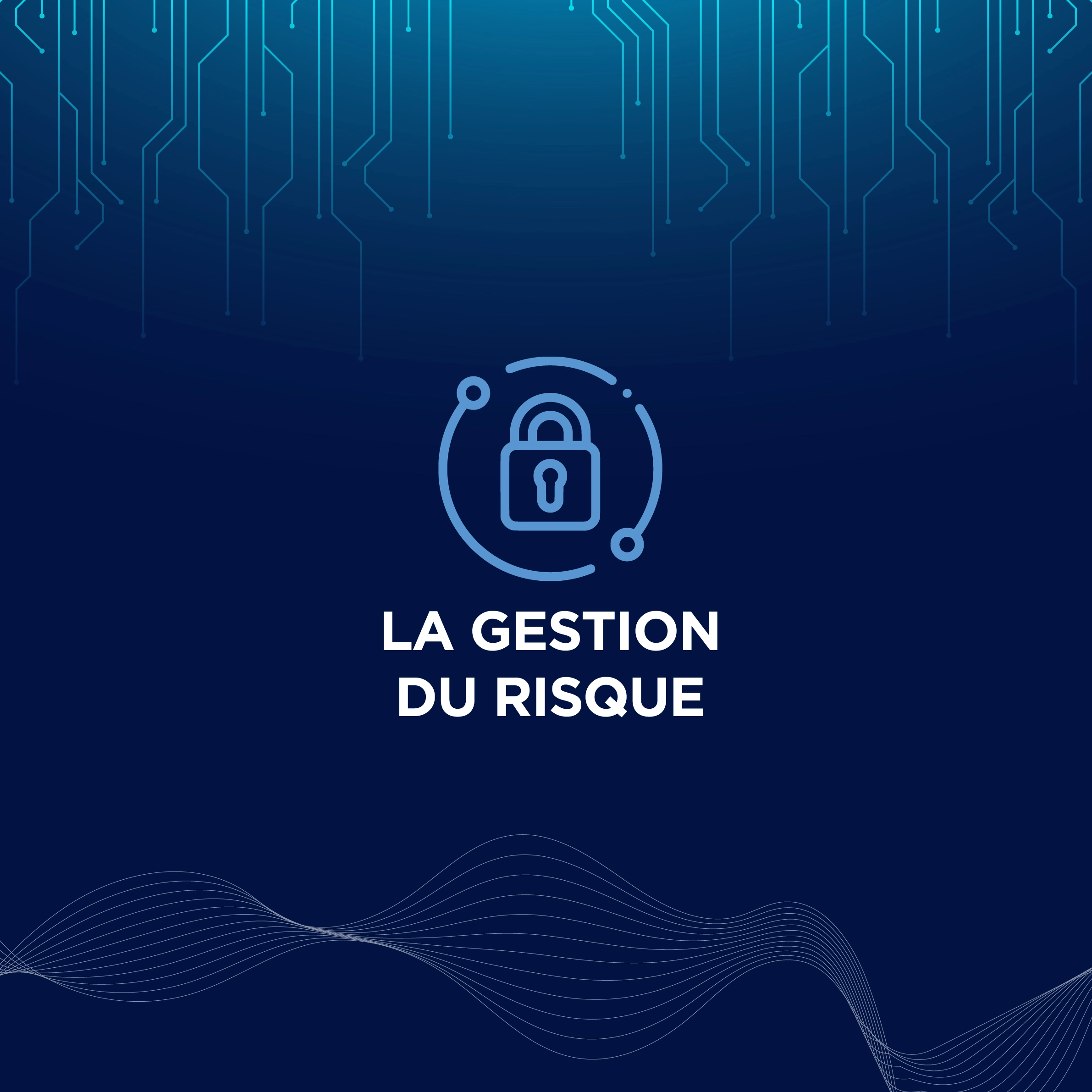 La Gestion des Risques