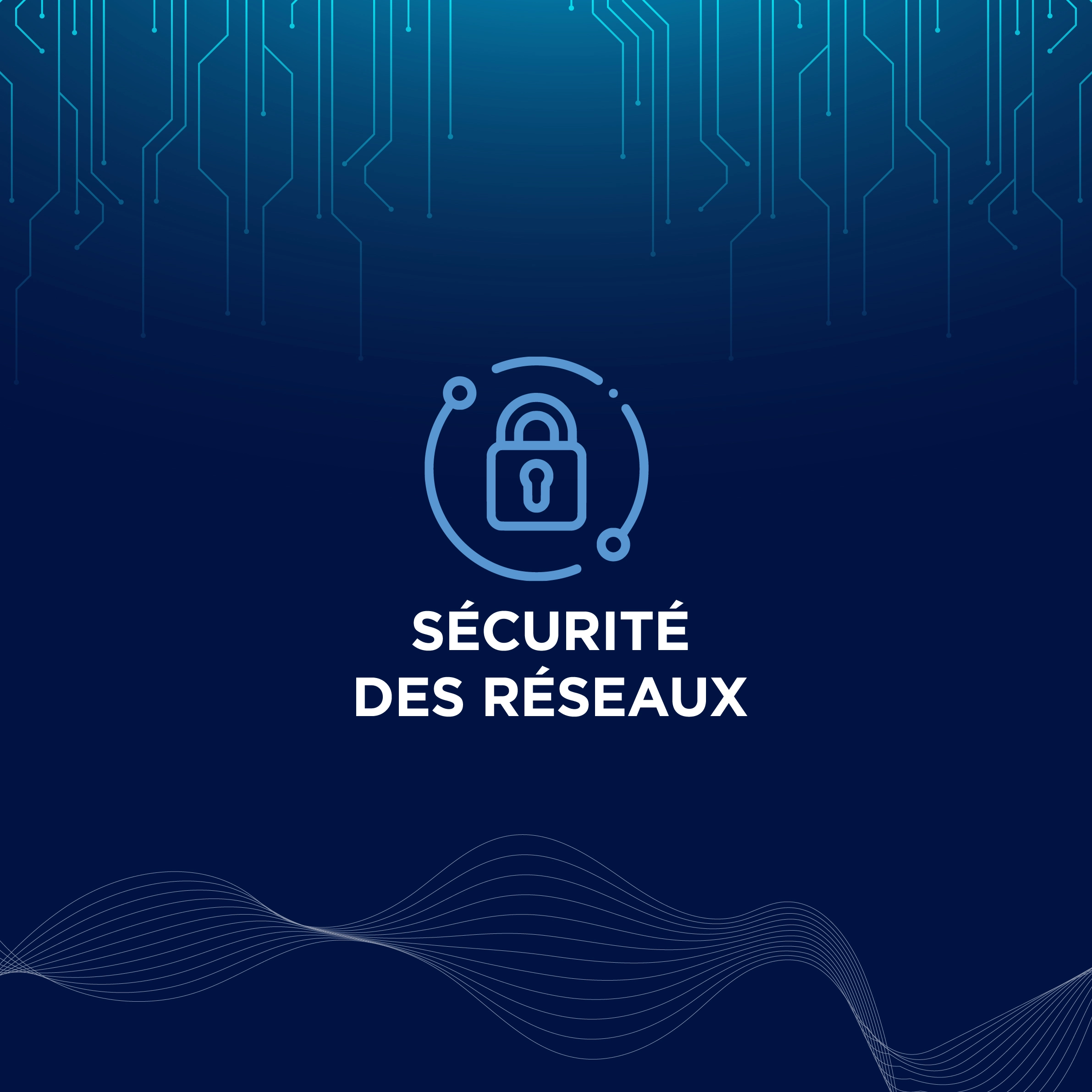 Sécurité des Réseaux